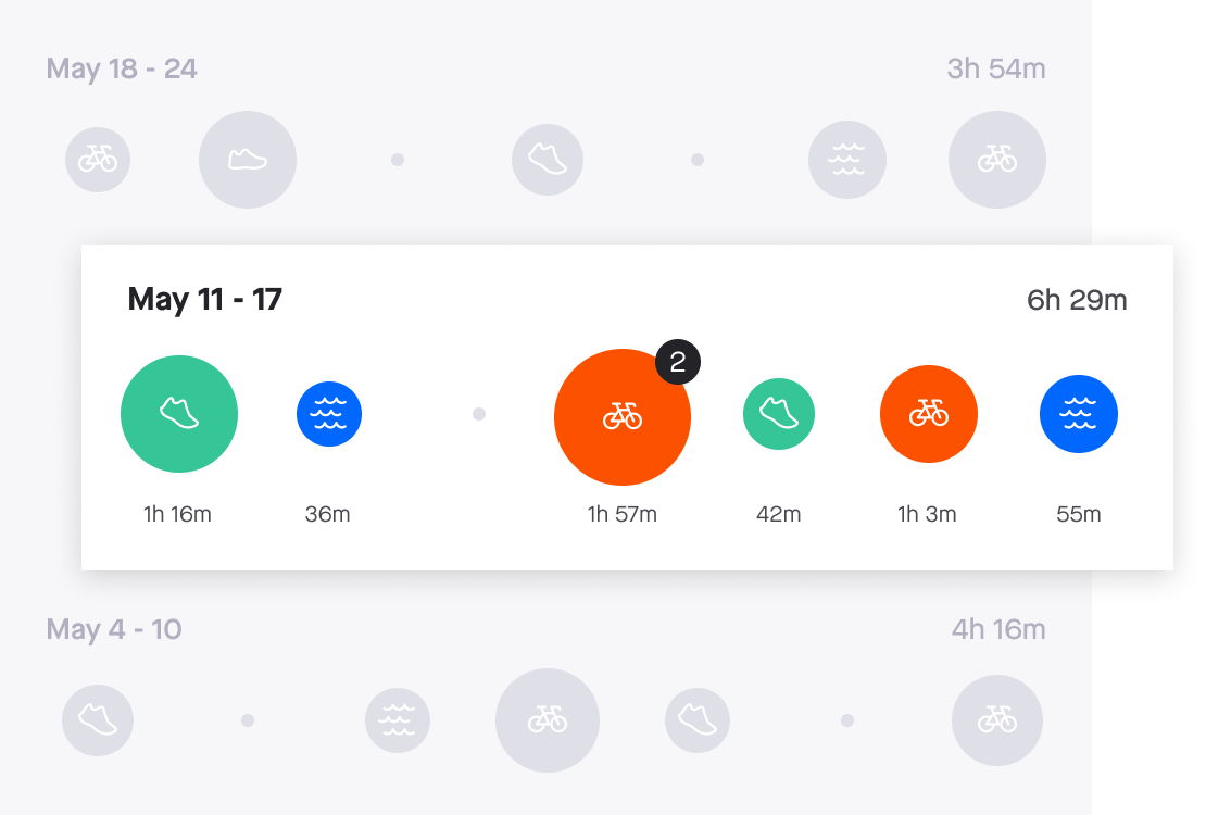 Strava Subscription