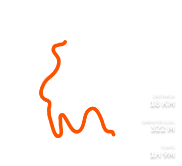 Um ciclista sorri enquanto pedala. O texto sobreposto mostra a sua velocidade média, o ganho de elevação e o tempo em movimento.