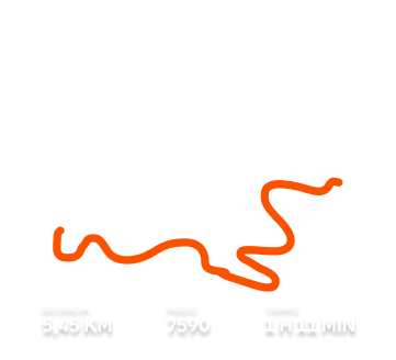 Cuatro amigos riéndose y vestidos con ropa deportiva.