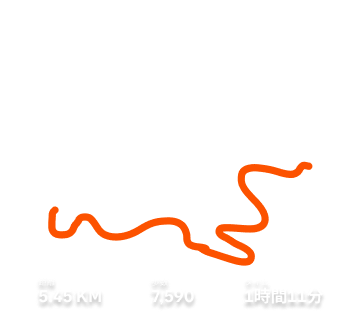 スポーツウェアを着て微笑む4人の友人たち。