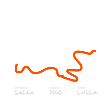 Quatro amigos a rirem-se e a usarem vestuário desportivo.